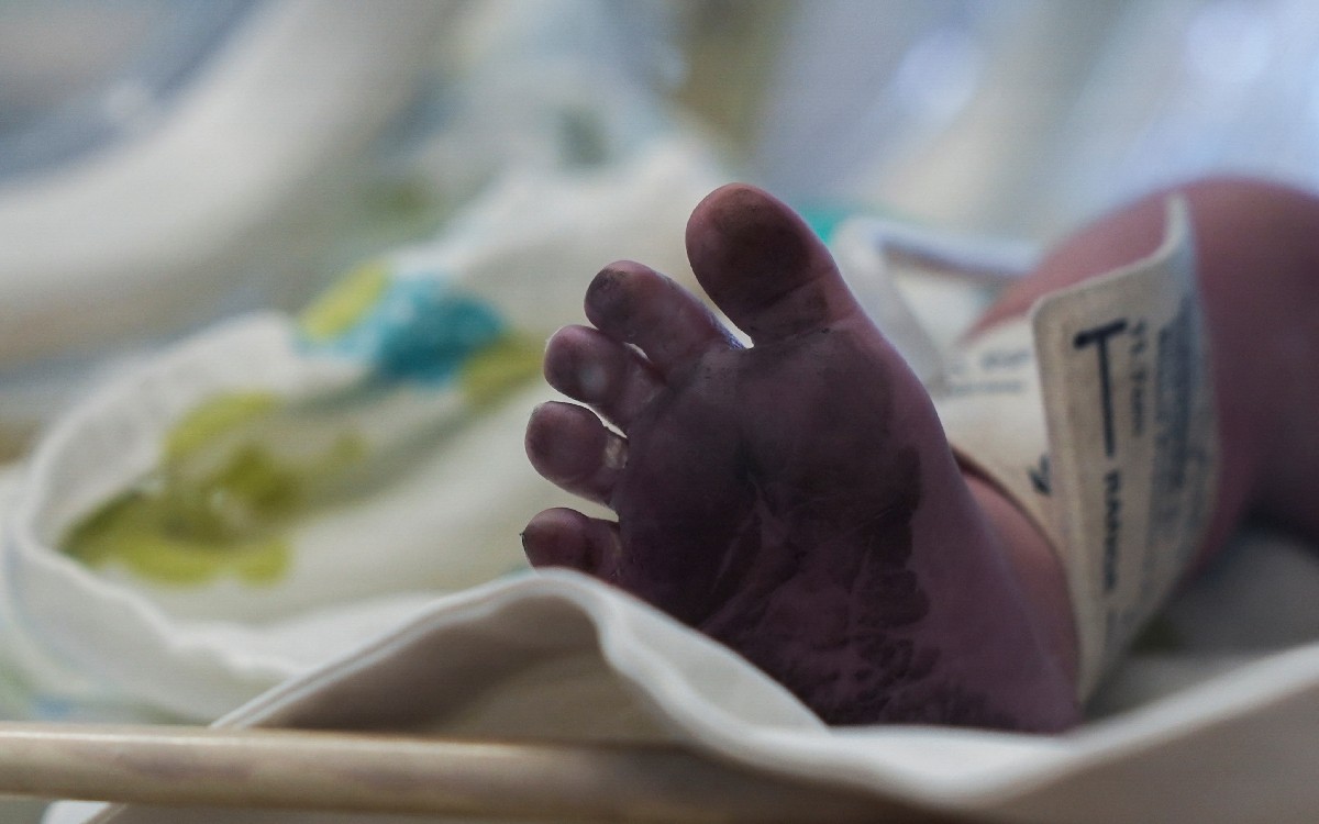 Gemelos nacen de embriones congelados durante 30 años en EU