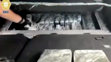 Hallan 50 kg de cocaína en auto en CDMX; equivale a 11 mdp