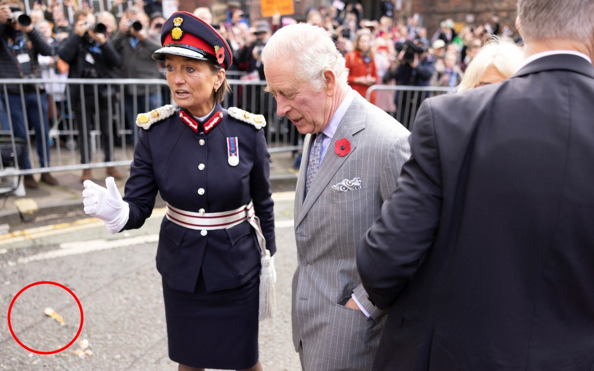 Hombre lanza huevos al rey Carlos y a su esposa Camila | Video