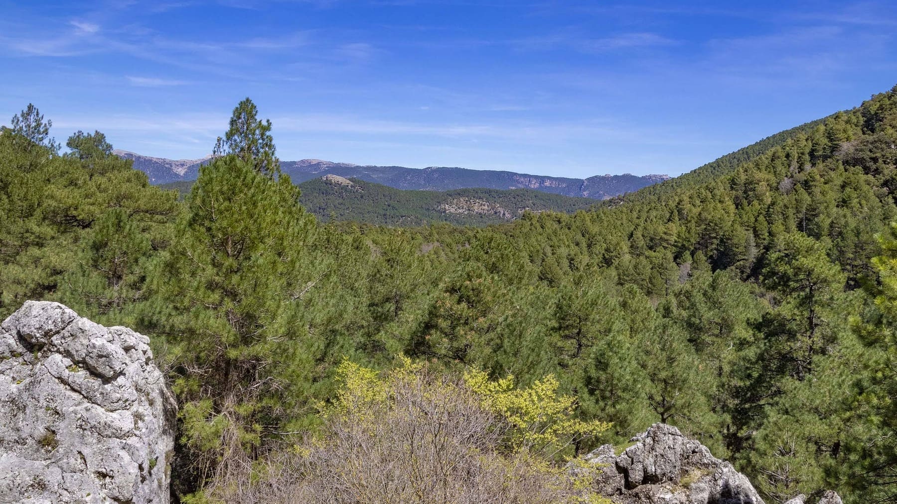 La impresionante cascada repleta de tesoros naturales en España que está siendo un éxito