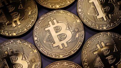 Los creyentes de Bitcoin mantienen la opinión de que podría encontrar una aceptación institucional a pesar del caos de FTX