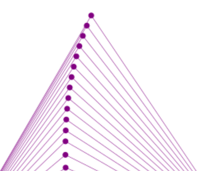 Los tipos de triángulos