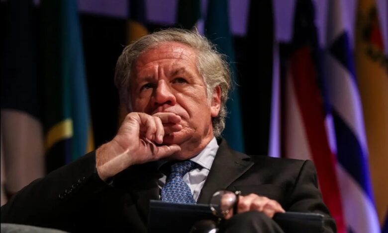 OEA aprueba investigar a Almagro por supuesto romance con trabajadora