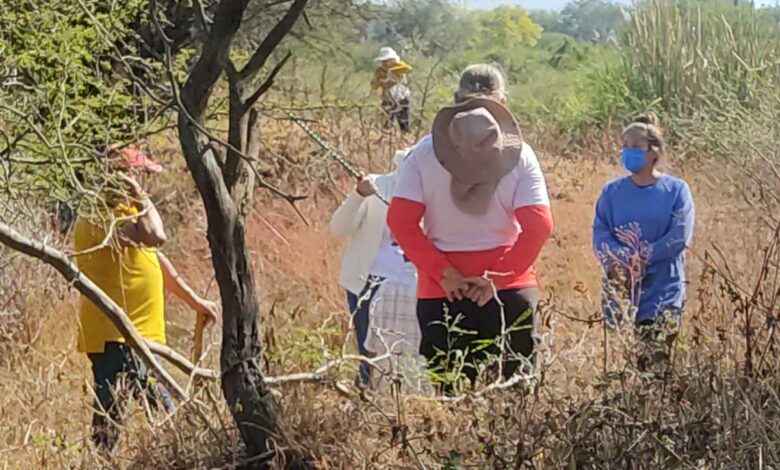 ONU ya atrajo 11 casos de desaparición forzada en Michoacán