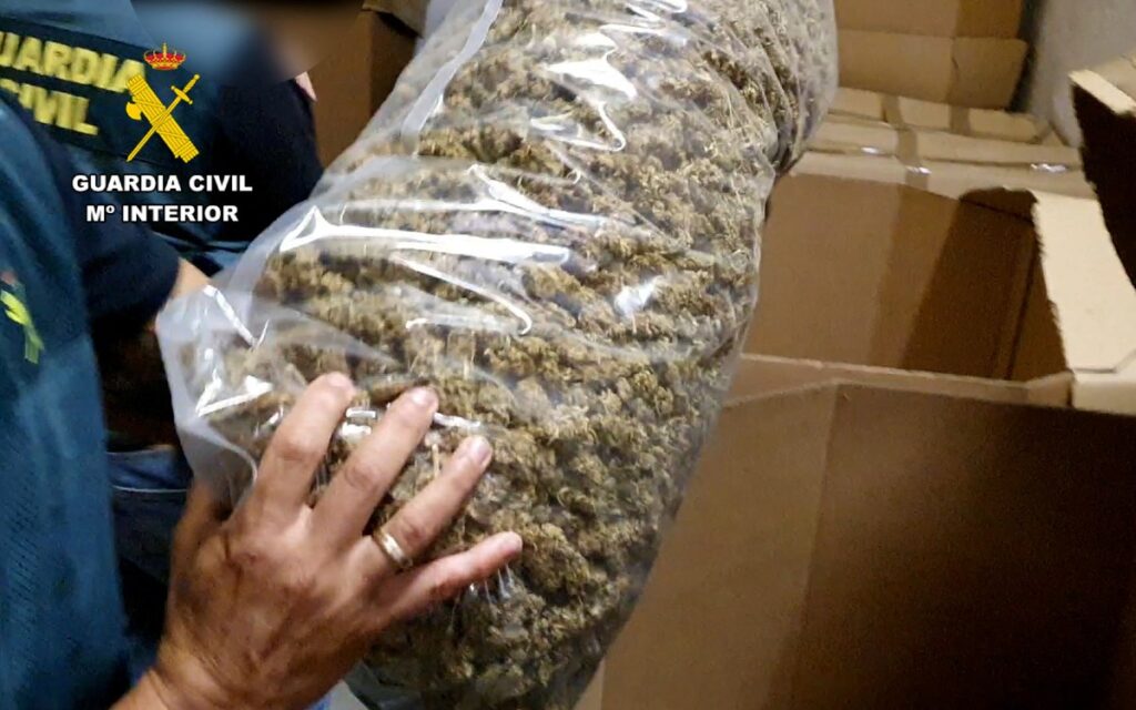 Operación Jardines: Policía española incauta 32,3 toneladas de marihuana, la mayor cantidad de la historia