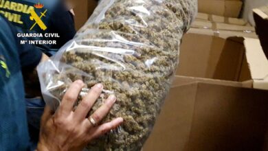 Operación Jardines: Policía española incauta 32,3 toneladas de marihuana, la mayor cantidad de la historia