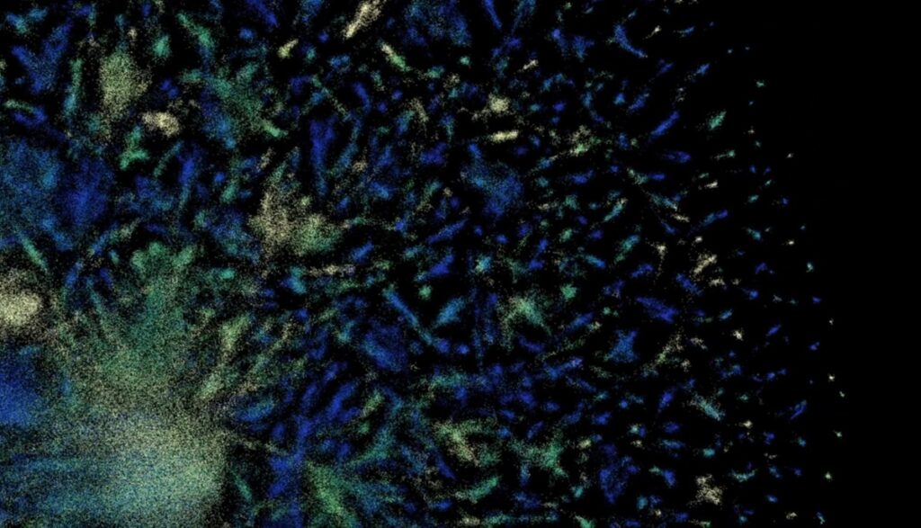 Perceptrón: IA que ve con sonido, aprende a caminar y predice física sísmica