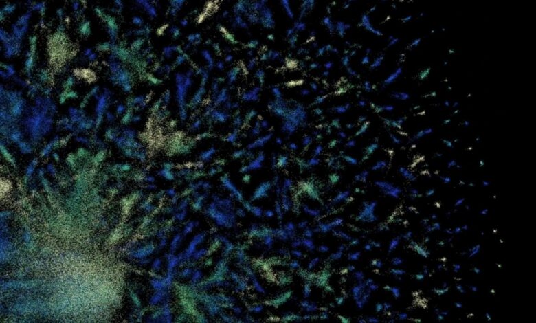 Perceptrón: IA que ve con sonido, aprende a caminar y predice física sísmica
