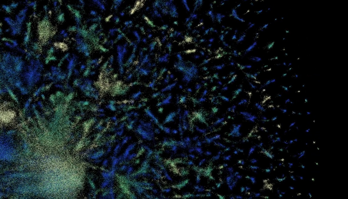 Perceptrón: IA que ve con sonido, aprende a caminar y predice física sísmica