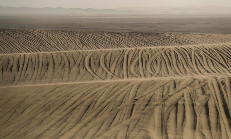 Qatar 2022 | Dunas blancas y adrenalina, ingredientes del desierto en el país asiático