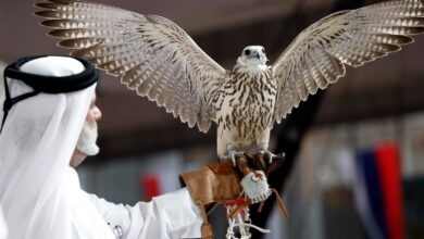 Qatar 2022 | Halcón milenario: mascota y lujosa tradición | Video