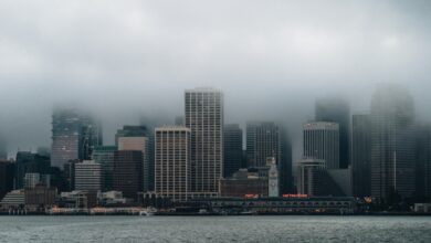 Resumen de TechCrunch+: Recaudación de fondos bajo escrutinio, optimización de LTV, actualización del boletín de visas