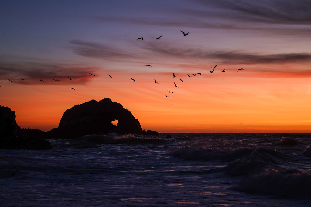 Resumen de TechCrunch+: amor duro de TAM, ‘construir en público’, 6 métricas clave de SaaS