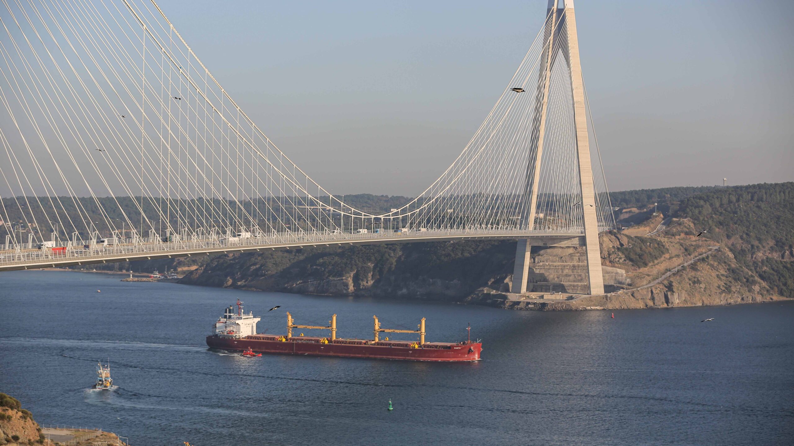 Rusia: Putin acceder a retomar el acuerdo para el envío de granos desde Ucrania