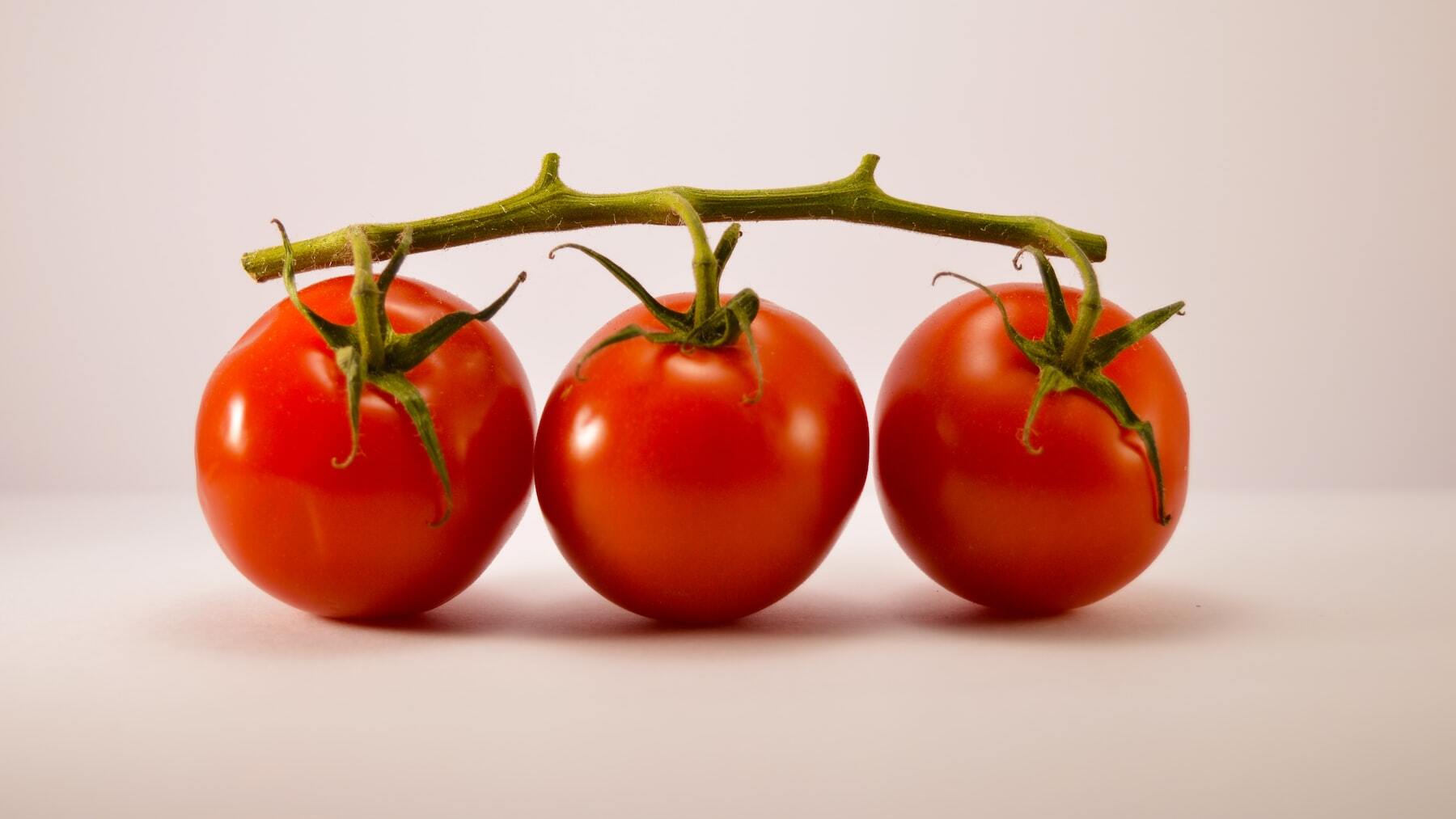 Si ves esto marrón en tus tomates, tíralos de inmediato