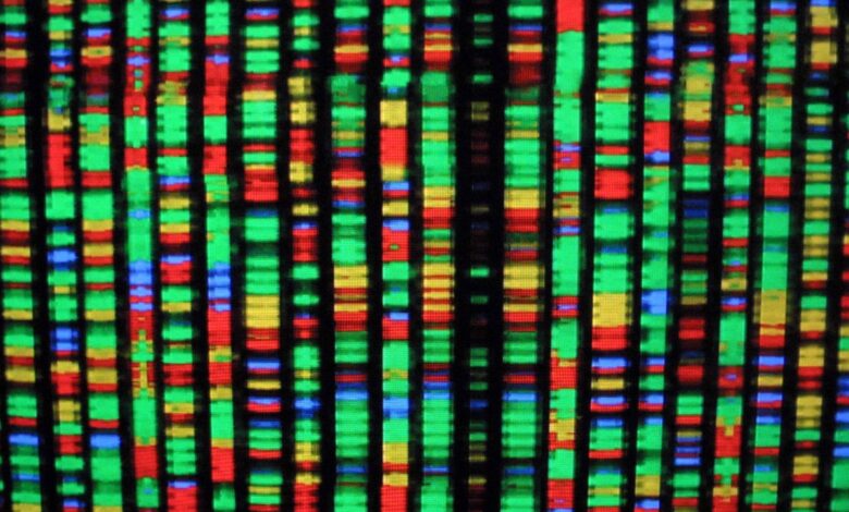 Stability AI respalda el esfuerzo para llevar el aprendizaje automático a la biomedicina
