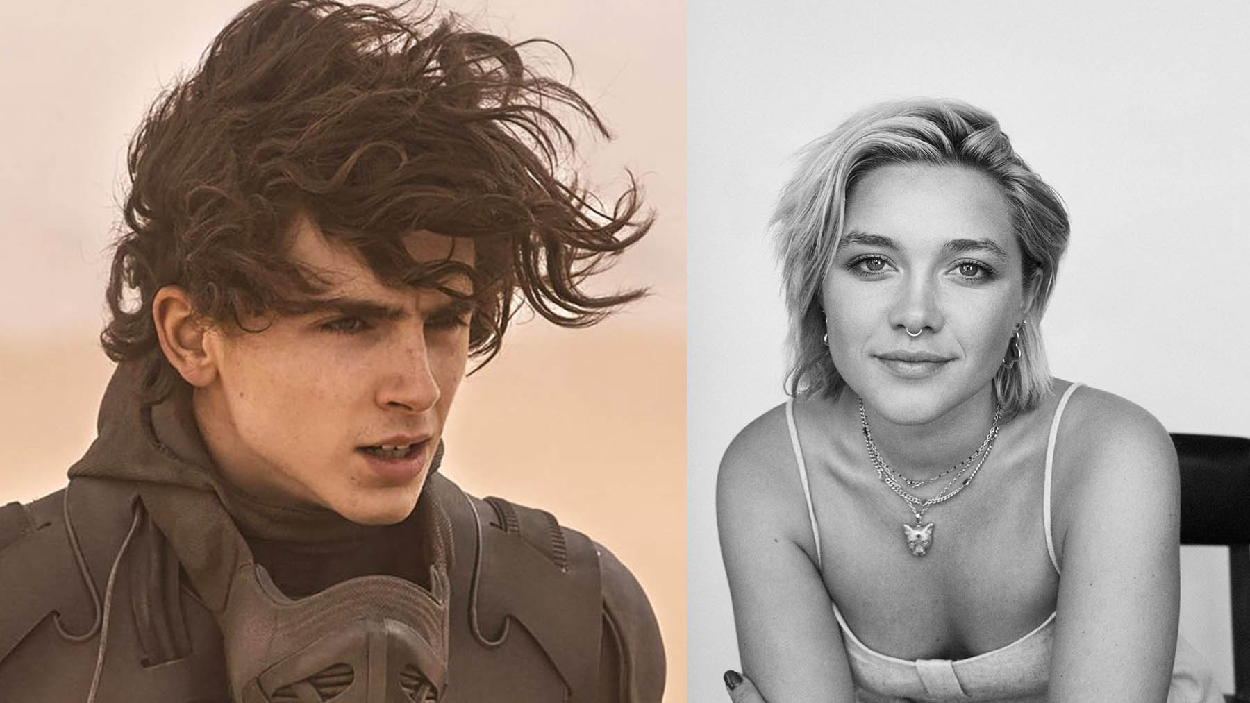 Timothée Chalamet elogia a su nueva compañera de reparto en ‘Dune 2’: «Su actuación es increíble»
