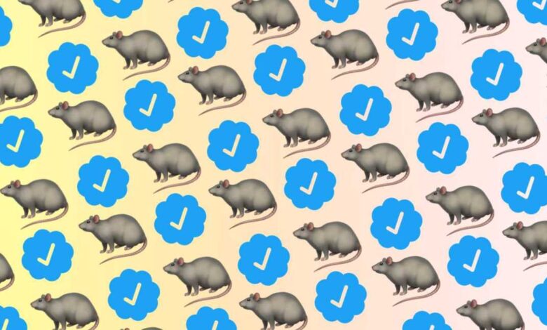 Todos podemos ser #RatVerified para siempre