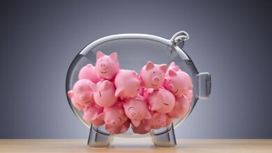 Una carta de amor a los microfondos, columna vertebral y futuro del capital riesgo