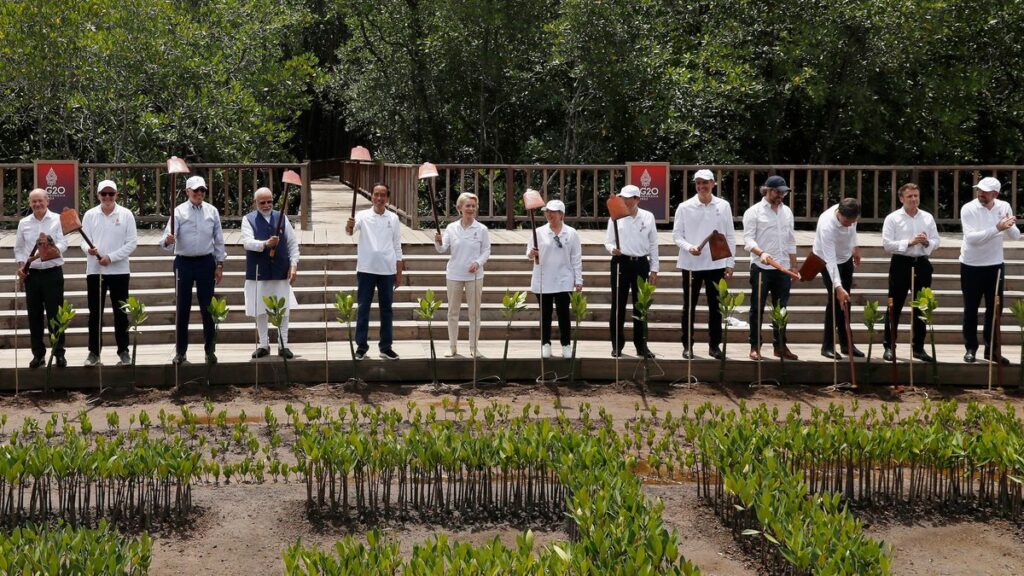 https://elpais.com/opinion/2022-11-19/la-ue-vista-desde-el-g-20-de-bali.html
