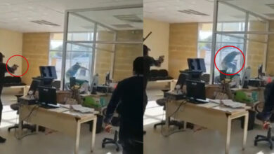 ¡Como película de acción! Hombre esposado escapa entre balas de juzgado en Jalisco | Video