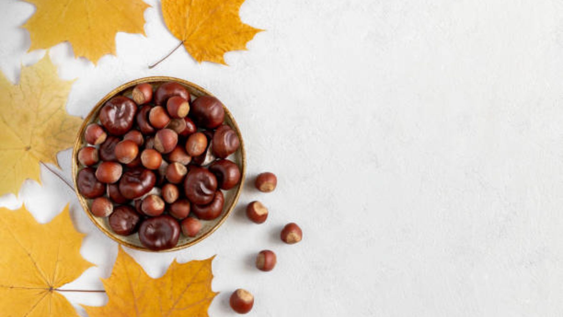 ¿Cuáles son las diferencias entre castañas y avellanas?