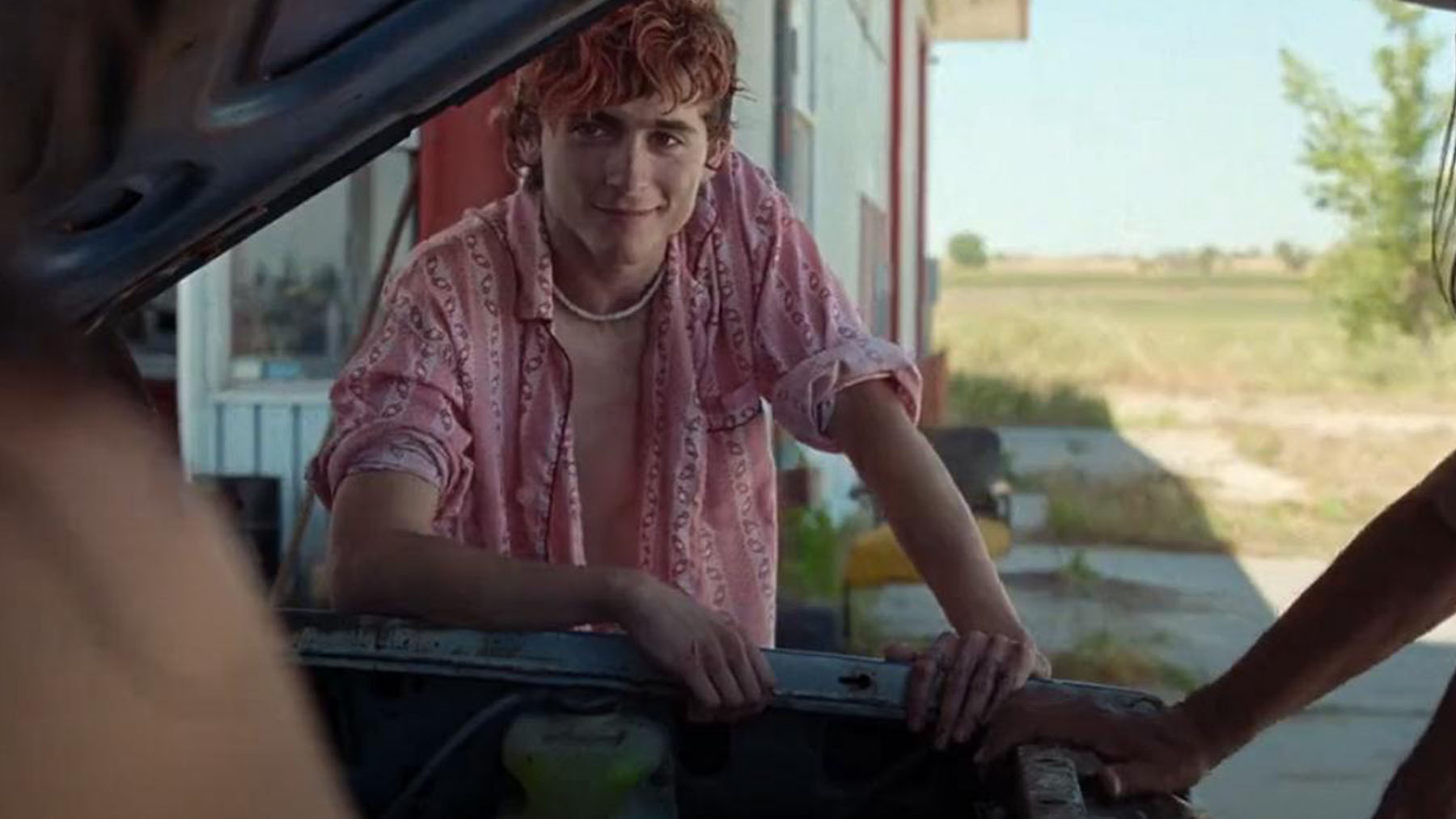 ‘Hasta los huesos’: Timothée Chalamet explica por qué le conmovió esta historia de amor caníbal