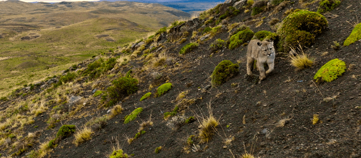 Los documentales sobre la naturaleza de Our Planet 2 llegarán a Netflix en 2023 y más allá Los documentales sobre la naturaleza de Our Planet 2 llegarán a Netflix en 2023 y más allá