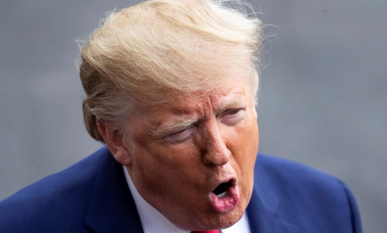 Hallan dos documentos clasificados a Trump