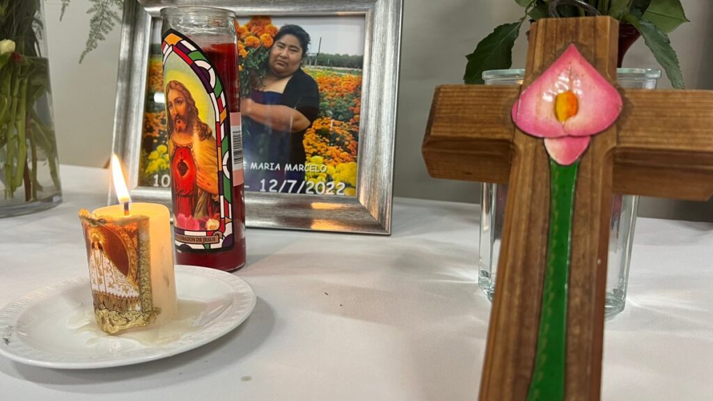 Peatón muere tras ser arrollado cerca del centro comercial The Plant en San José