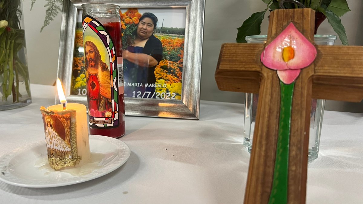 Peatón muere tras ser arrollado cerca del centro comercial The Plant en San José