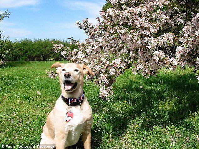 35E84B0D00000578-3672536-imagen-a-36_1467566417258 35E84B0D00000578 3672536 imagen a 36 1467566417258