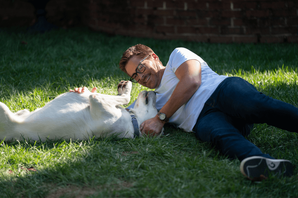 perro desaparecido película de netflix que llegará a netflix en enero de 2023 rob lowe perro desaparecido película de netflix que llegará a netflix en enero de 2023 rob lowe