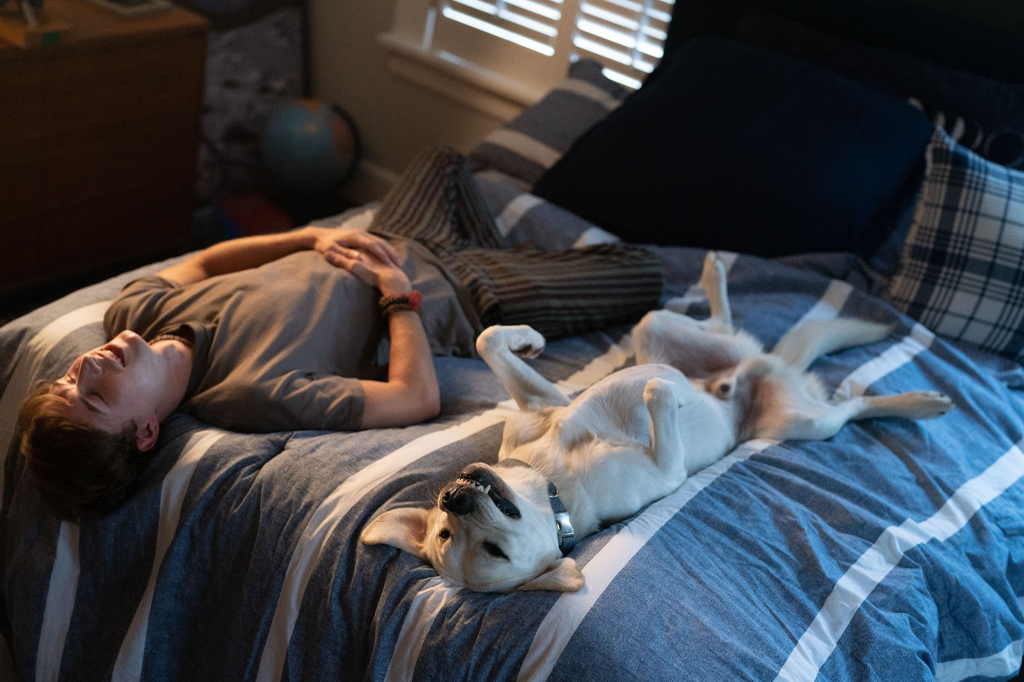 perro desaparecido película de netflix que llegará a netflix en enero de 2023 un buen chico perro desaparecido película de netflix que llegará a netflix en enero de 2023 un buen chico