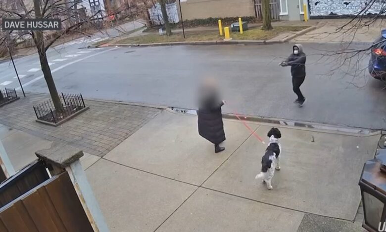 Asaltan a mujer a punta de pistola mientras paseaba a su perro en Lincoln Park