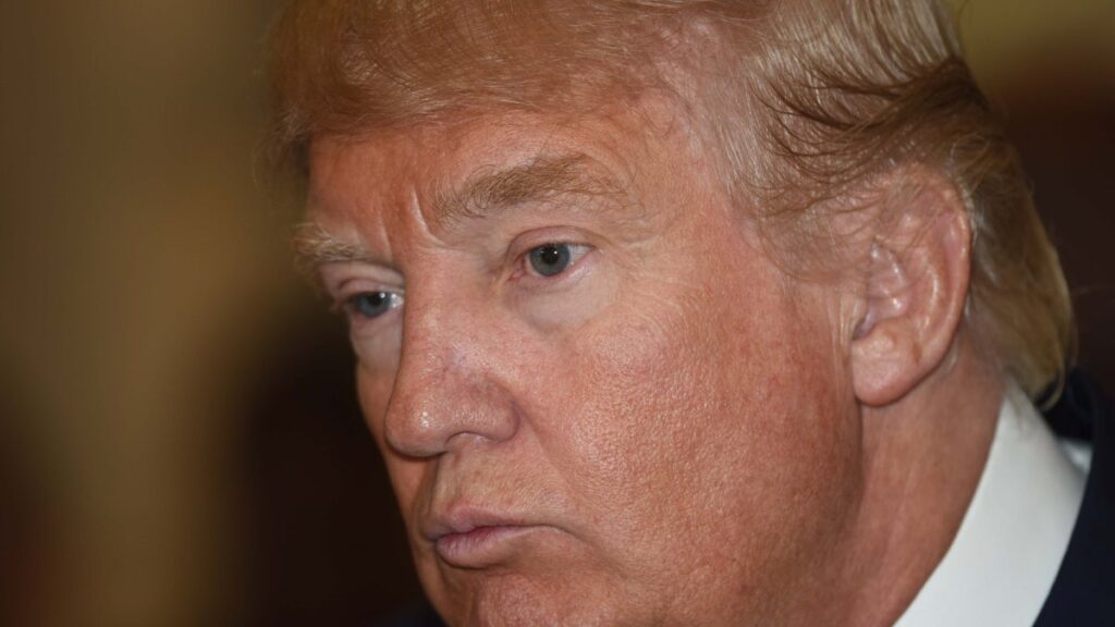 nuevo informe detalla lo que pagó o no pagó Donald Trump en impuestos cada año