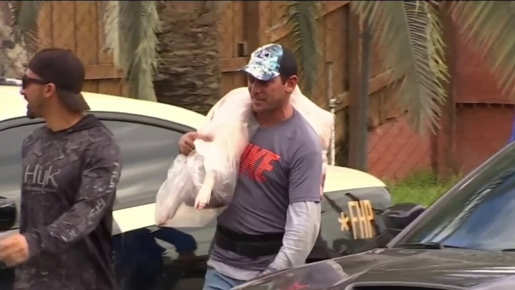 Protestan por matanzas de animales para la noche buena