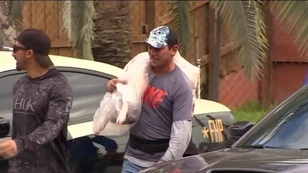 Protestan por matanzas de animales para la noche buena