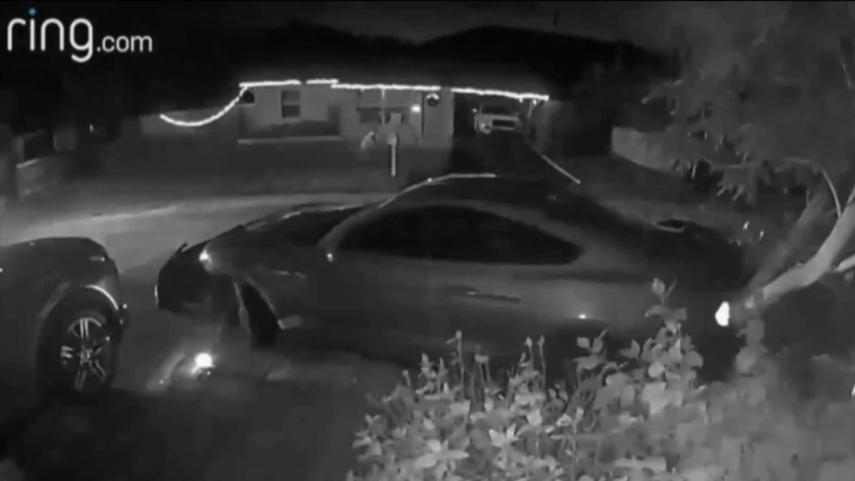 Acusan a joven de Florida de arrollar a policía en Palm Beach