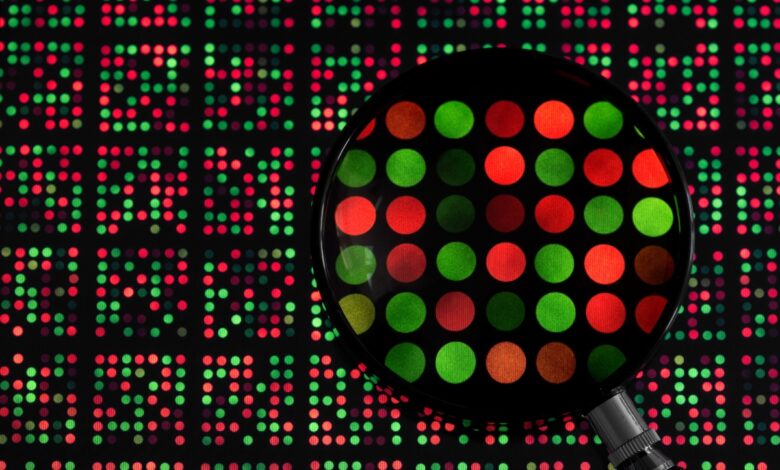 A medida que la IA impregna la biotecnología, ¿qué buscan los inversores en 2023?
