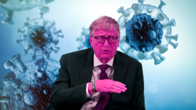 Bill Gates pronosticó un nuevo virus y pandemia para 2025: qué es el SEERS