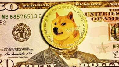 Cómo TechCrunch+ siguió la montaña rusa del criptomercado en 2022