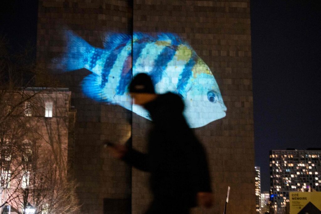 Cumbre de la biodiversidad en Montreal: ¿qué hace EE UU en el foro de este convenio internacional que no ha ratificado?