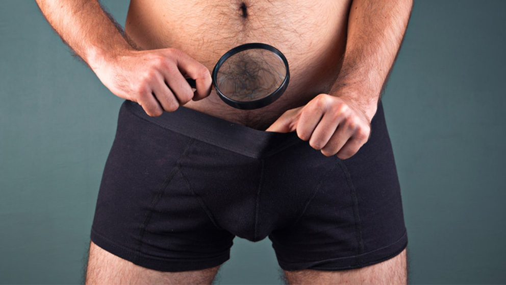 Datos desconocidos y sorprendentes sobre el pene