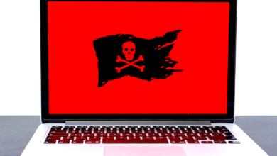 Desmantelan en Alemania los tres mayores portales de pornografía infantil