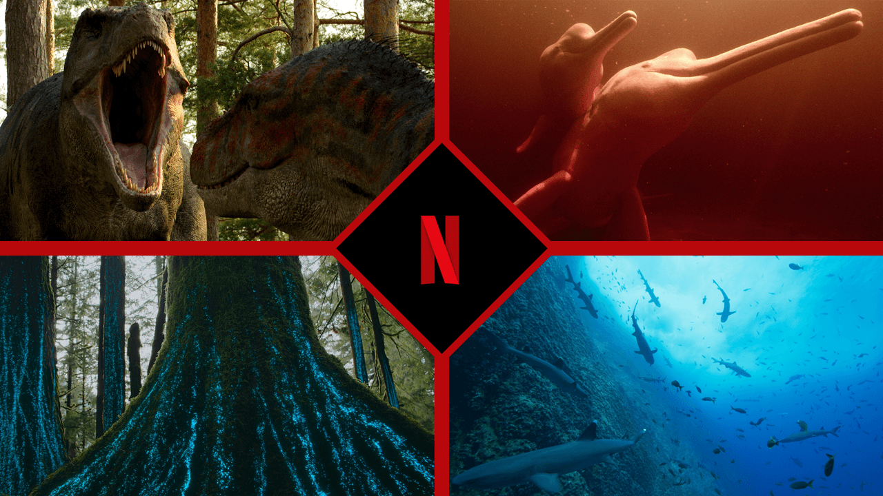 documentales sobre la naturaleza que llegarán a netflix en 2023 y más allá documentales sobre la naturaleza que llegarán a netflix en 2023 y más allá