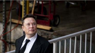 El internet de Elon Musk ya tiene 1 millón de usuarios: cuándo lo habilitan en Argentina