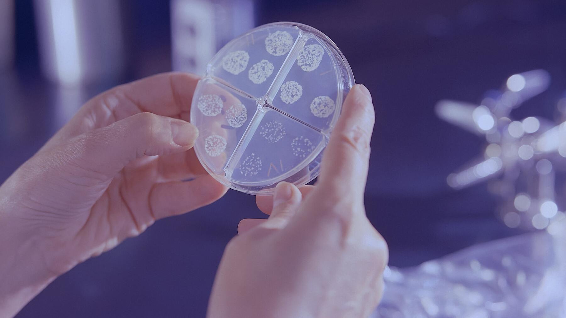 El objeto de tu casa que puede acumular 33:000 bacterias: aprende a limpiarlo