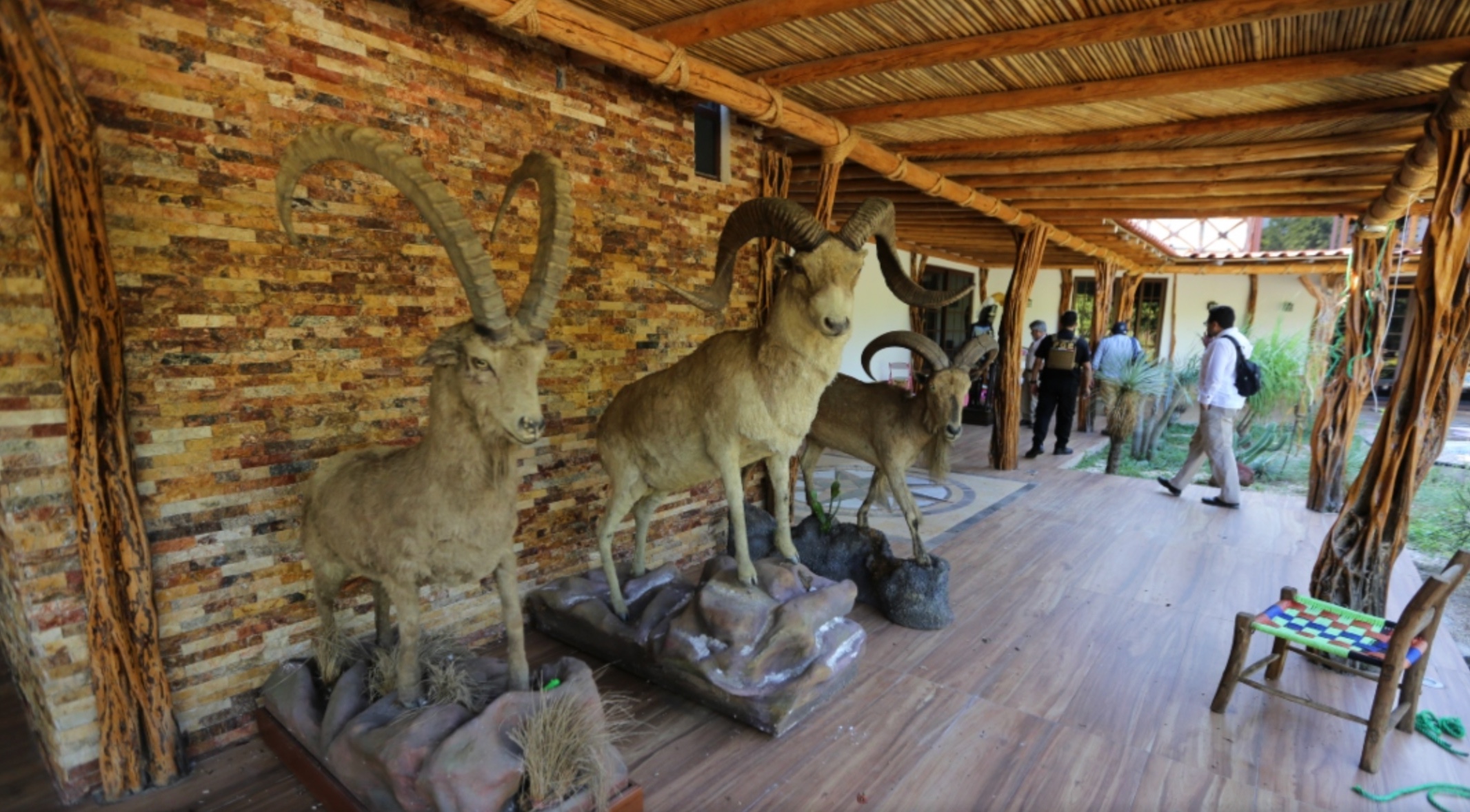 Entran a ‘guaridas’ de ‘El Fresa’ en Guerrero