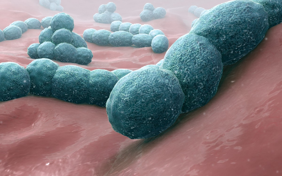 Estreptococo A ha matado a 19 niños en Reino Unido